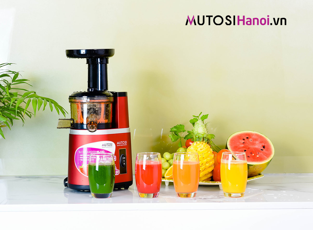 Máy ép chậm Mutosi MJ-83