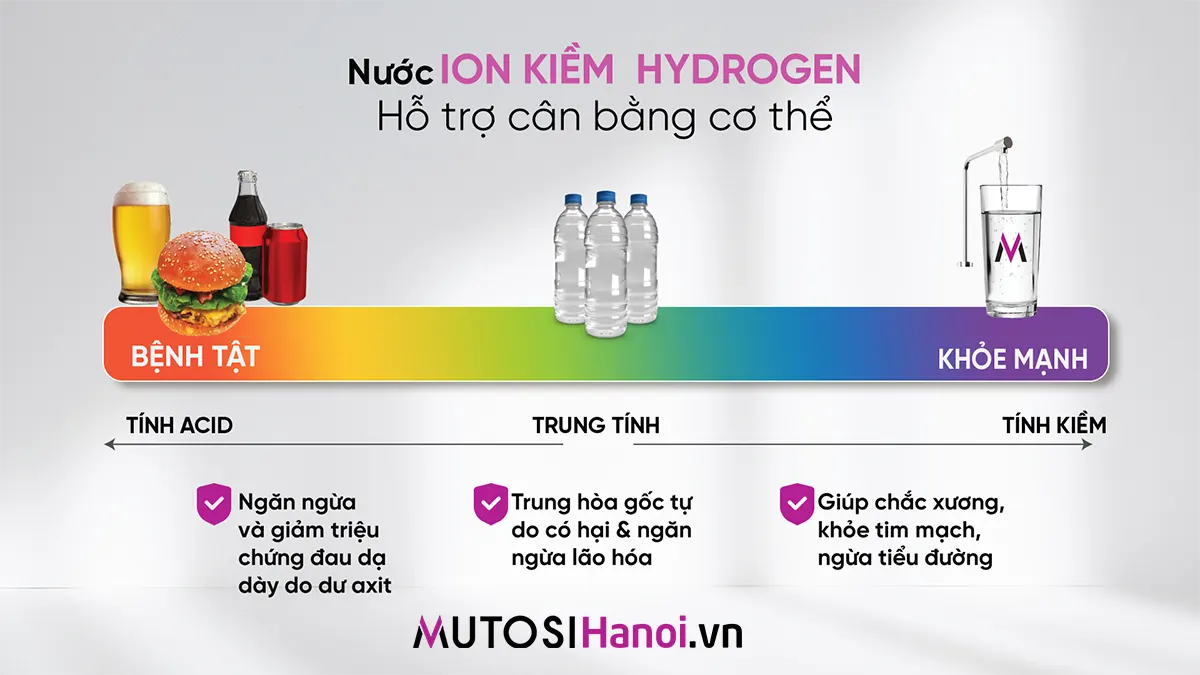 Máy lọc nước Ion Kiềm Hydrogen Mutosi MP-S106H