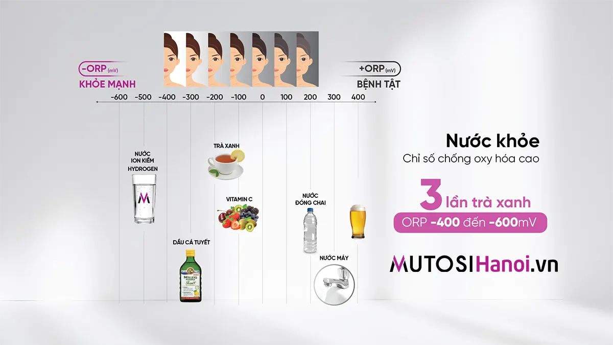 Máy lọc nước Ion Kiềm Hydrogen Mutosi MP-S106H