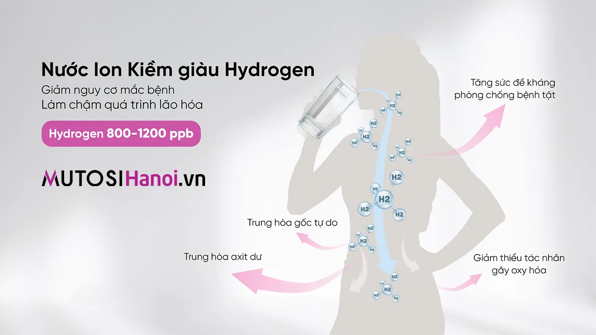 Máy lọc nước Ion Kiềm Hydrogen Mutosi MP-S106H