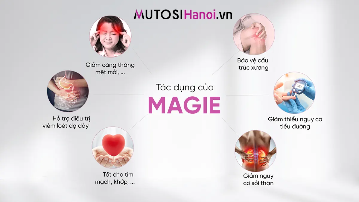 Máy lọc nước Ion Kiềm Hydrogen Mutosi MP-S106H