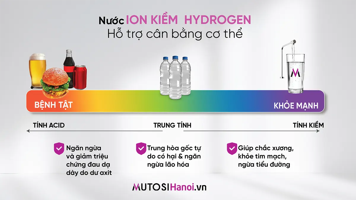 Máy lọc nước Ion Kiềm Hydrogen Mutosi MP-S109H