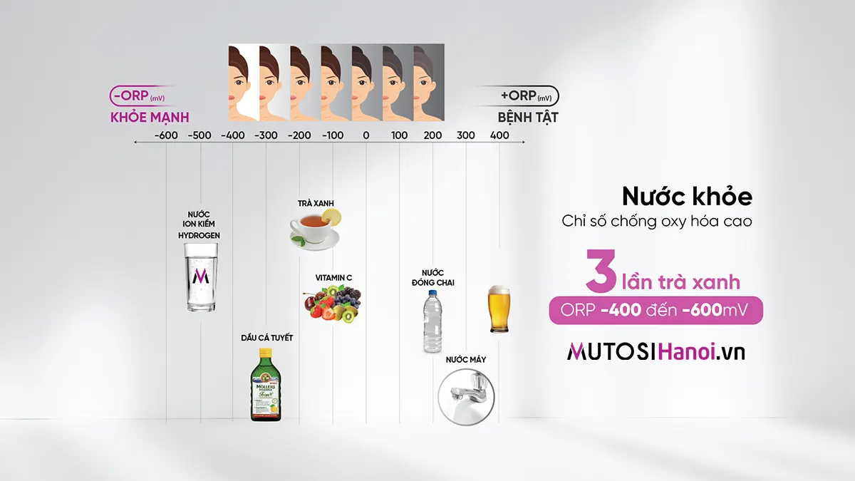 Máy lọc nước Ion Kiềm Hydrogen Mutosi MP-S109H