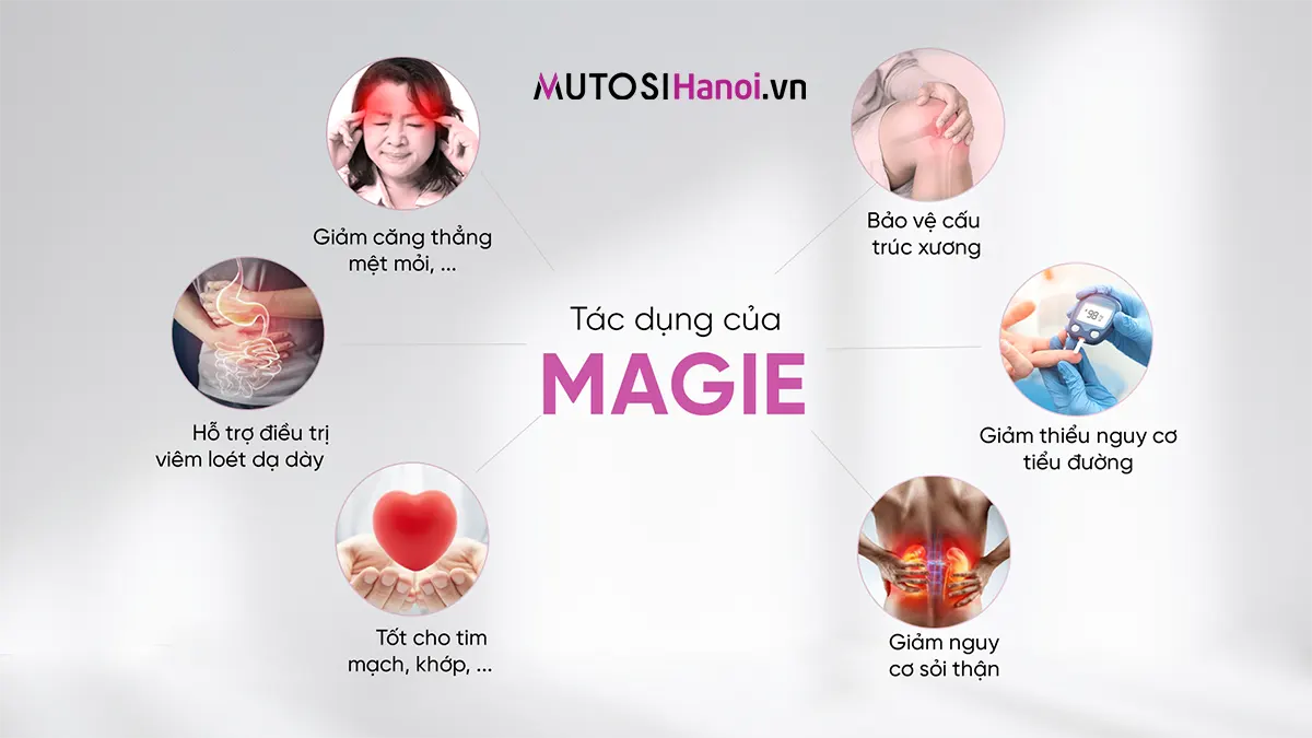 Máy lọc nước Ion Kiềm Hydrogen Mutosi MP-S109H