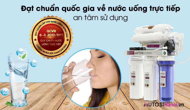 Máy lọc nước Mutosi MP-291